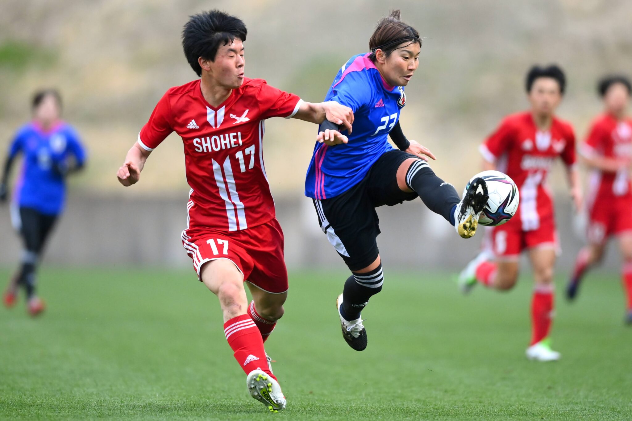 【なでしこジャパン】千葉玲海菜ら新戦力アピール。池田太監督が選手たちに要求したこととは？